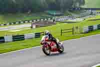 Red Bikes